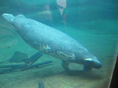 Twins in the Cities: Columbus Zoo, Ohio