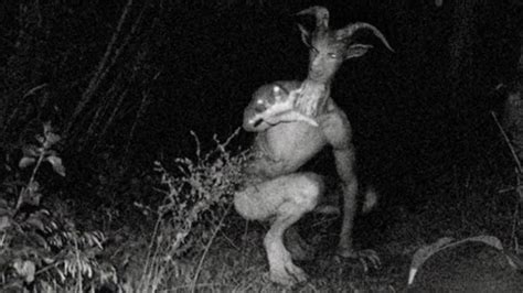 What Is The Real Story Behind The Skinwalker On Tiktok? - Trendzified