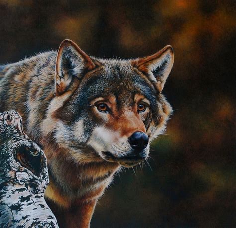 Wolf Portrait (painting) by EsthervanHulsen on DeviantArt