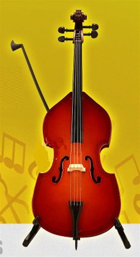 Western Musical Instruments Cello Only for 1/3 - Etsy