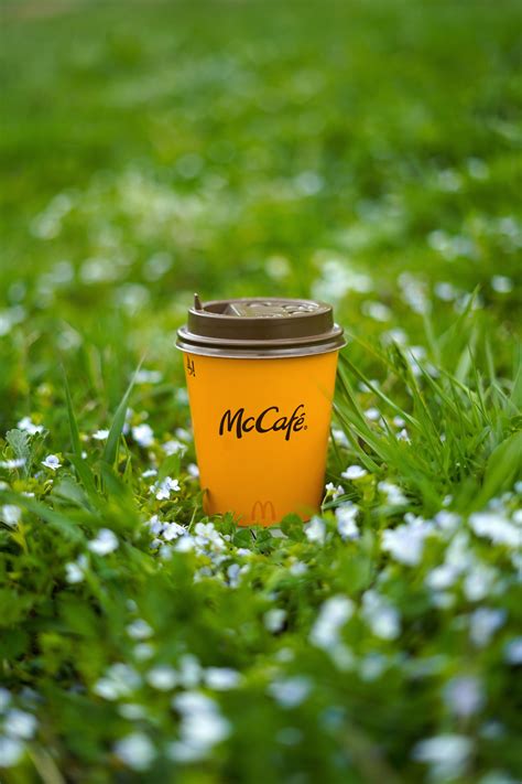 Mccafe Photos, Download The BEST Free Mccafe Stock Photos & HD Images