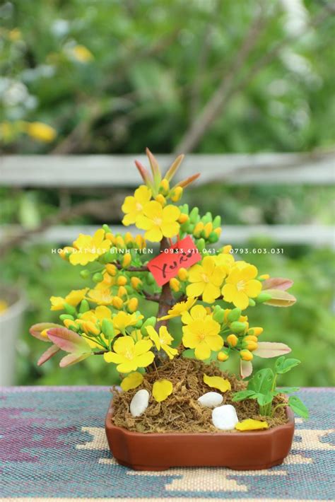 CHẬU BONSAI HOA MAI VÀNG SIZE NHỎ - Hoa đất sét - Hoa giấy lụa Bình Tiên