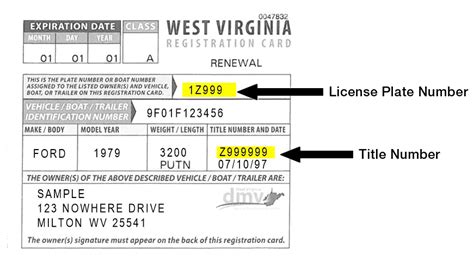 WV DMV Skip the Trip!