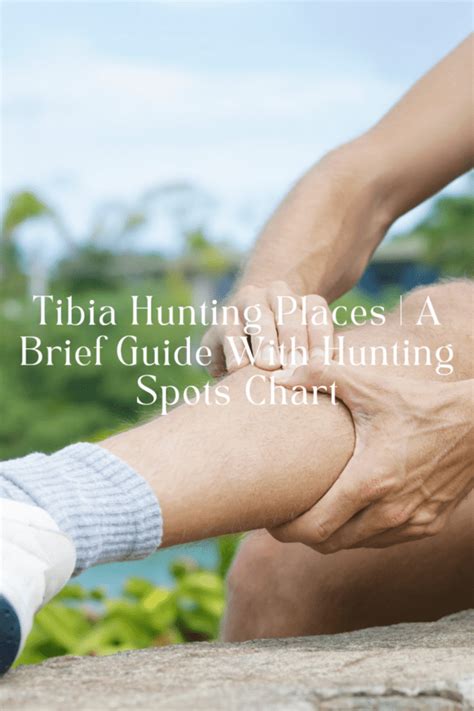 Tibia Hunting Places | A Brief Guide With Hunting Spots Chart