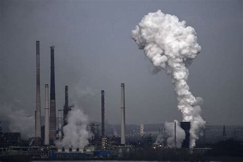 Fossil fuel pollution causes one in five deaths globally: study