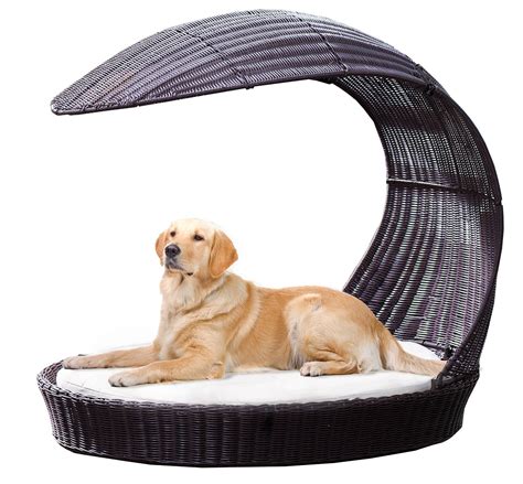 Luxury Dog Beds: The Best Small & Large Beds For Dogs of 2020 | Dogsrecommend