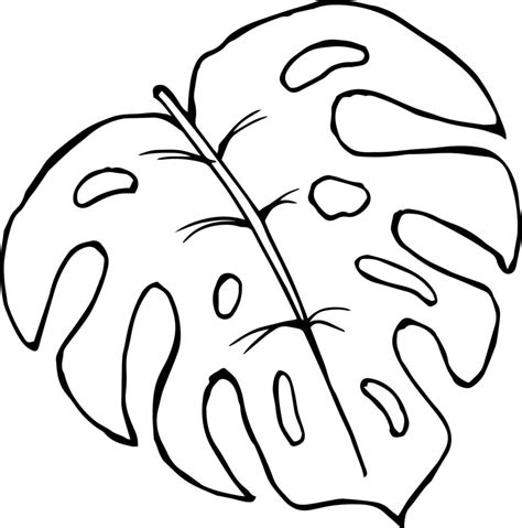 Hand drawn illustration of tropical palm leaf. Print. Sketch for coloring, black outline 4853683 ...