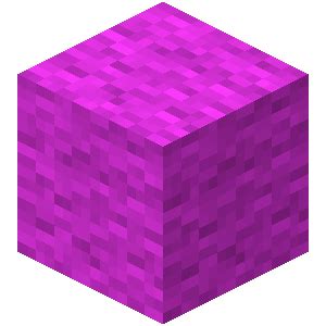 Magenta Wool | Bedrock Minecraft Wiki | Fandom