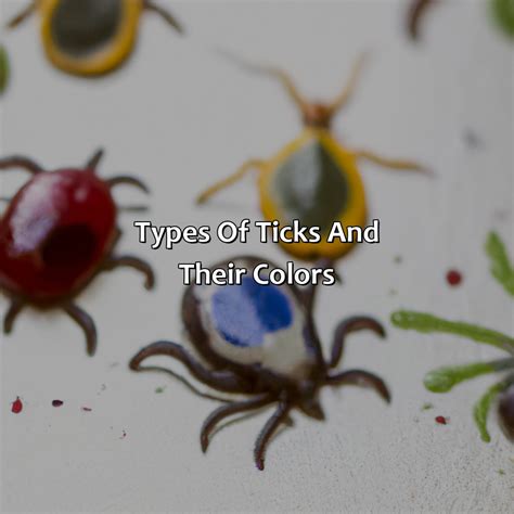 What Color Is A Tick - colorscombo.com