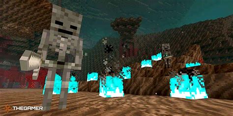 Aprender sobre 56+ imagem wither skulls farm - br.thptnganamst.edu.vn