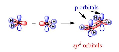 Hybridization - ethylene | Organic chemistry, Chemistry, Molecular geometry