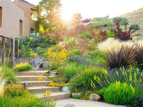 Best 10 Plants for Designing a Water Wise Landscape – Site Title