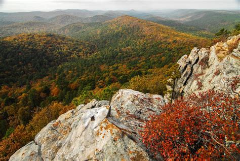 Chris Litherland Photography | Arkansas | Ouachita National Forest