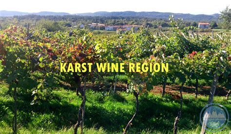 Wine Regions of Slovenia - Karst/Kras- Sloveniaforyou's guide to vino ...