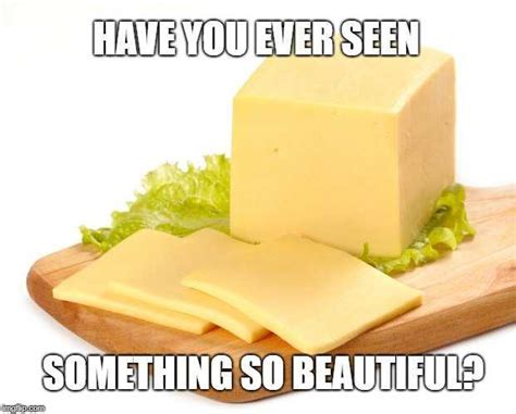 24 Funny Cheese Memes That Couldn't Be Any Cheddar