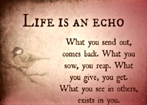 Life is echo | Ali Khan's Official Website