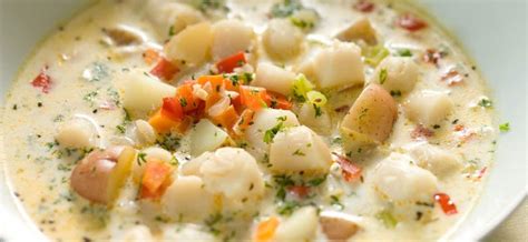 Jenny's Creamy Sea Scallop Soup ⋆ Ecopot