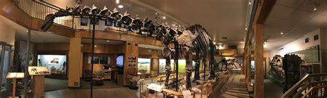 Geological Museum | Geology & Geophysics | University of Wyoming