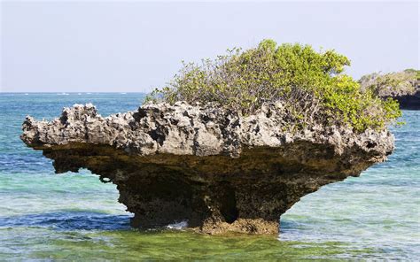 Chale Island Beach / Diani Beach / Kenya // World Beach Guide