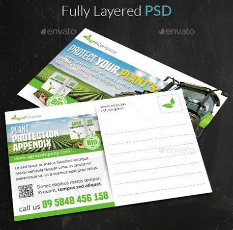Photoshop Postcard Template – 22+ Free PSD, Vector EPS, AI, Format Download