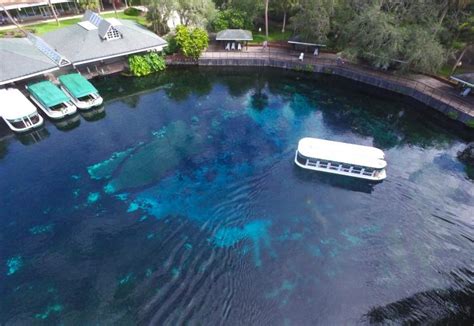 New Glass-Bottom Boat in Florida Will Be Wheelchair Accessible - Wheelchair Travel