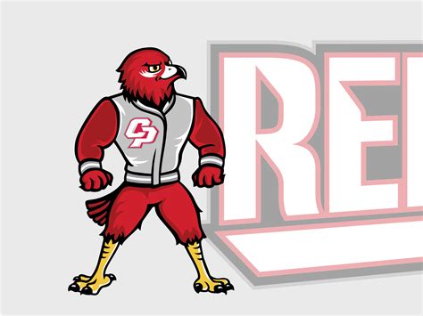 Red Hawk Mascot by 𝗧. 𝗕 𝗔 𝗥 𝗡 𝗘 𝗦 ™ on Dribbble