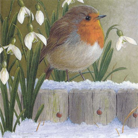 Robin Christmas card (UK) | Bird artwork, Birds painting, Bird art