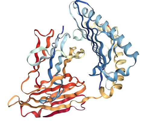 Alpha-fetoprotein Protein Overview | Sino Biological