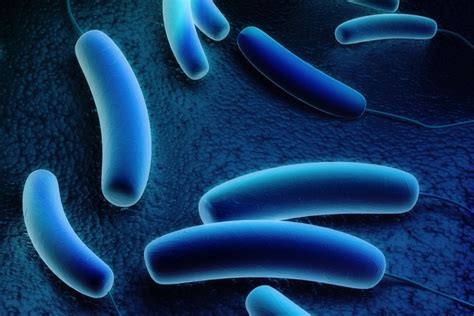 Legionella - RTA Water Treatment