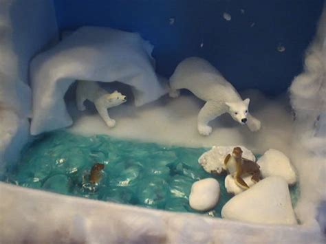 Polar bear diorama | Kids | Pinterest