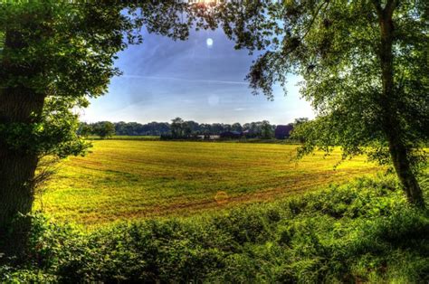 field, Trees, Nature, Landscape, Farm, Rustic Wallpapers HD / Desktop and Mobile Backgrounds