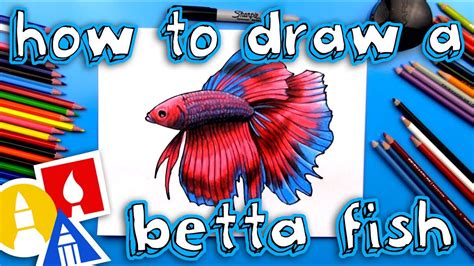 How To Draw A Realistic Betta Fish (Siamese Fighting Fish)