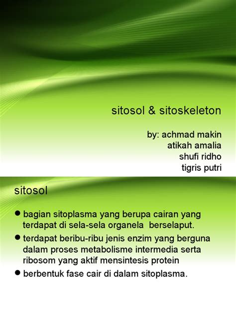 Sitosol | PDF