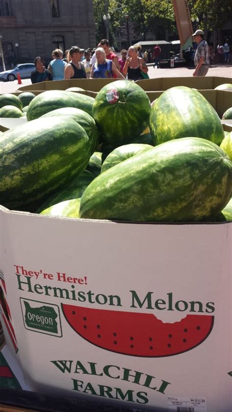 Hermiston Watermelon Giveaway - The Square