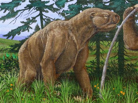 The Giant Ground Sloth: A Prehistoric Creature That Was Much More Agile Than We Thought – MudFooted