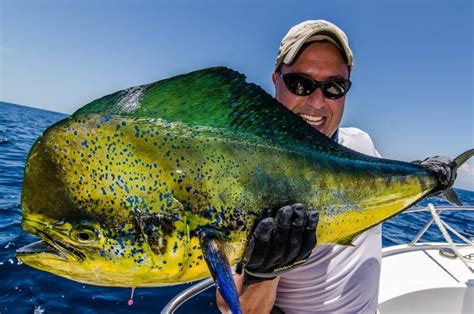 Cozumel Deep Sea Fishing - Best Buy Tours Cozumel