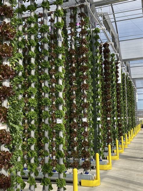 Vertical Farming Systems | ResearchGate