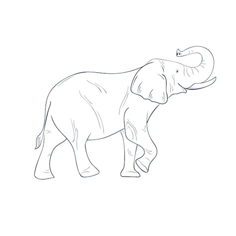 Free Vector | Hand drawn flat design elephant outline