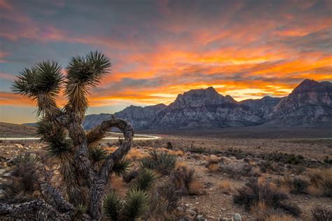 Scenic Drives to Take While Visiting Las Vegas | Gray Line