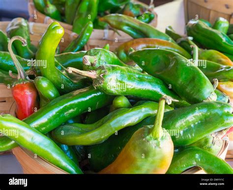 New mexico chili peppers hi-res stock photography and images - Alamy