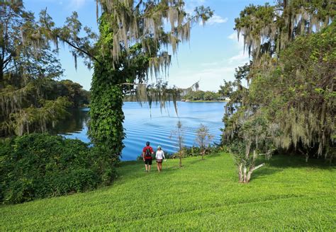 Ultimate Guide To The Leu Gardens, in Orlando | CuddlyNest