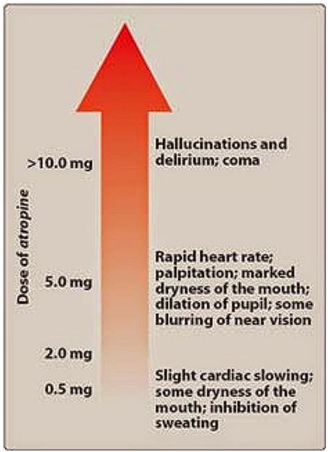 Pharmacological Blog: Atropine