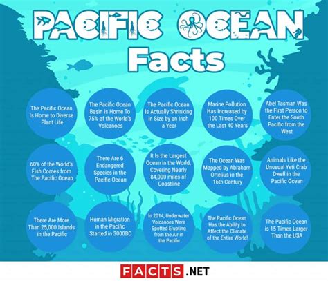 Top 15 Pacific Ocean Facts - Nature, Economy, History & More | Facts.net