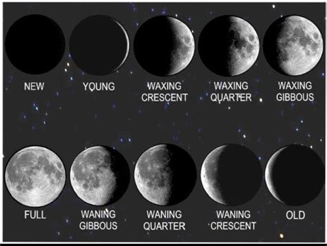 Image result for waxing crescent moon sketch | Moon phases, Moon tattoo ...