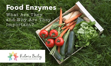 Food Enzymes: What Are They & Why Are They Important? - Thermography, Health, and Wellness with ...