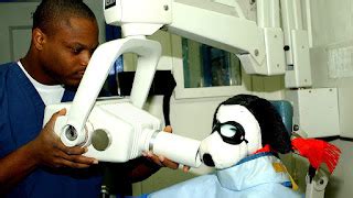 Radiology Technician Schools In Houston Tx - School Choices