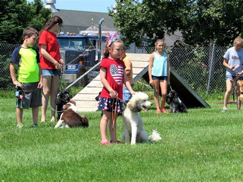 Youth Dog Training Camp with our poodle Dash