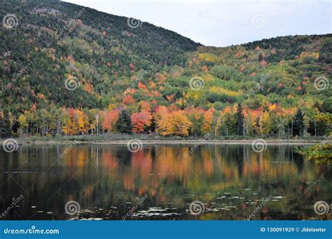 Fall colors in Maine stock image. Image of rugged, landscape - 130091929