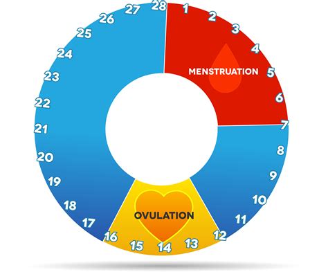 Bloating, Breast Tenderness or Cramps During Ovulation? Here’s What You Need to Know