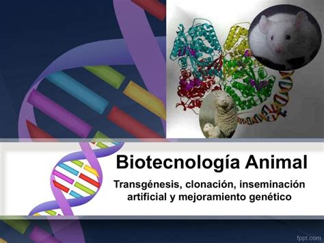 Biotecnología Animal | CINTHYA VITERI | uDocz